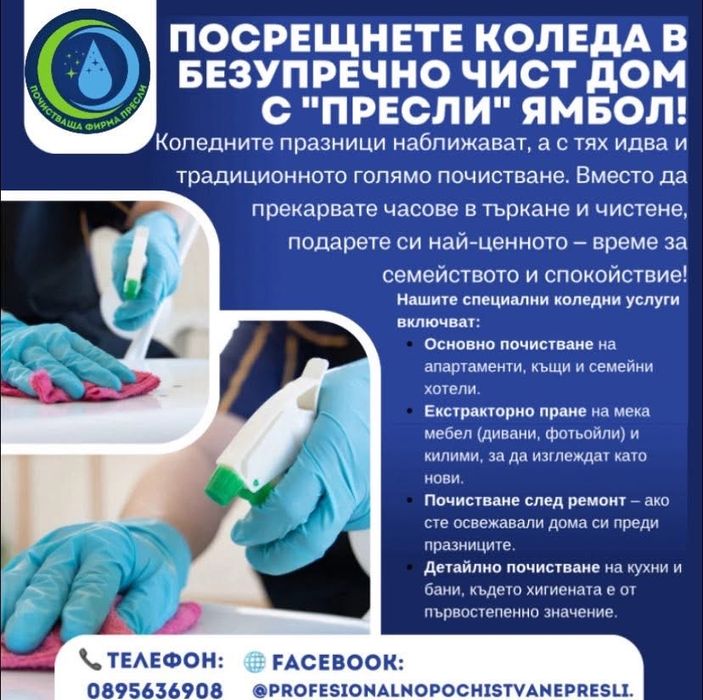 Професионално почистване Пресли