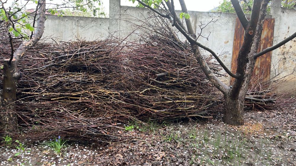 Хворост, дрова для растопки и розжига