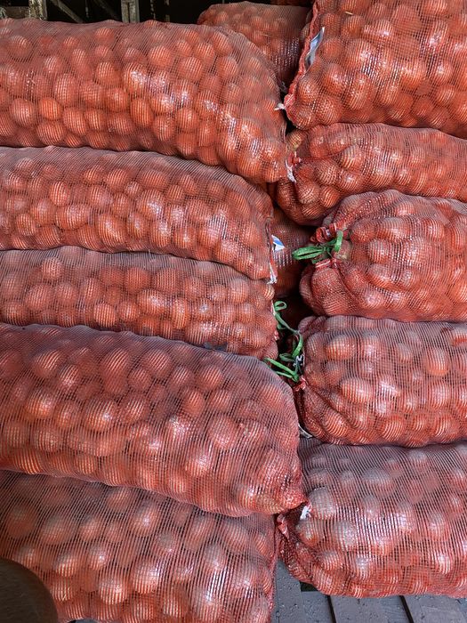 Семена картофеля