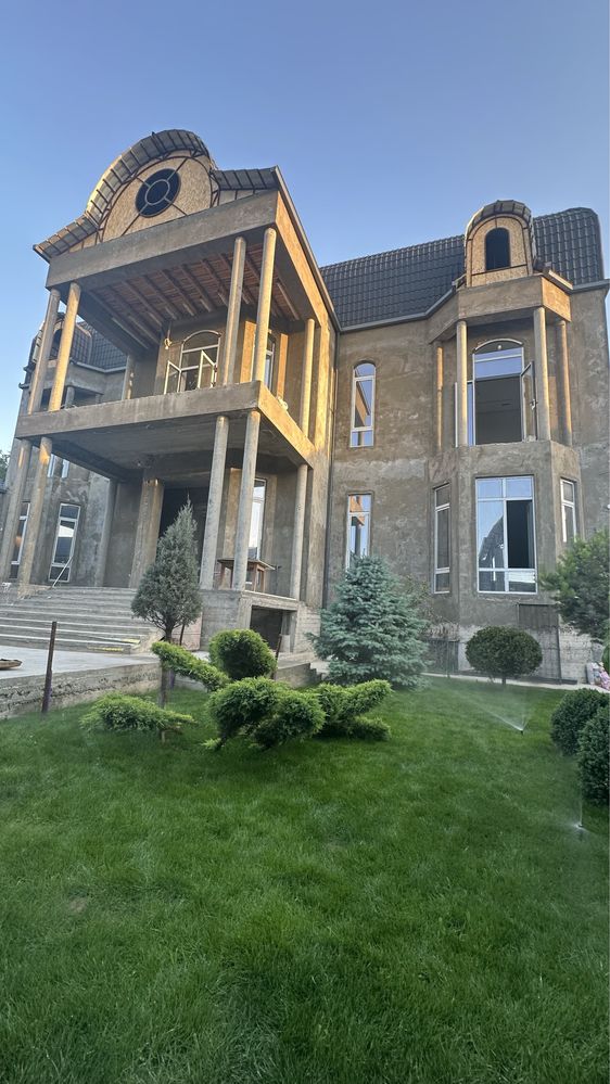 Автополив, газон, посадка газона, установка автополив, елки, дерево
