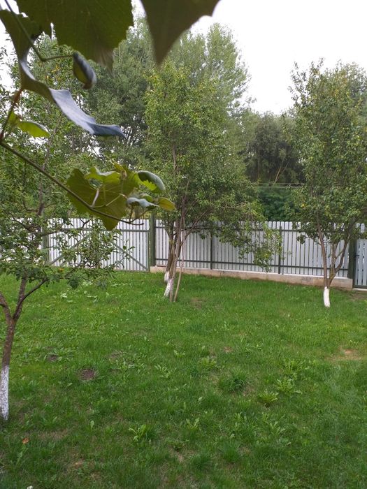 Vând casa în comuna Ștefan celMare