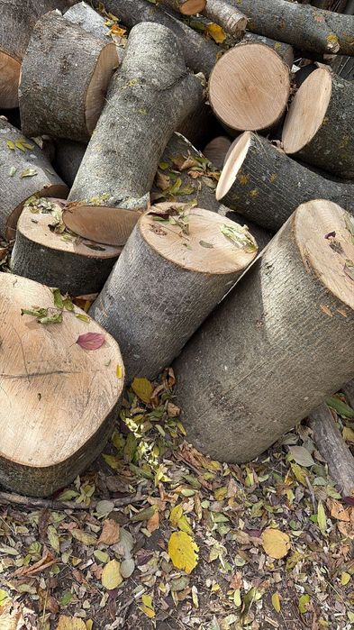 Vând lemne de foc