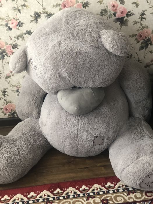 Srochno Teddy ayiq sotiladi