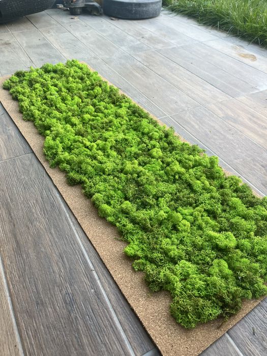 Пано декоративен скандинавски мъх