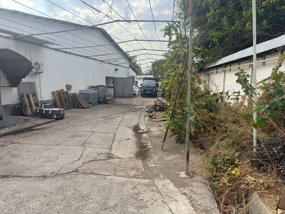 Чигатой 20сот земля под производство