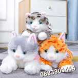 Плюшено коте Котка