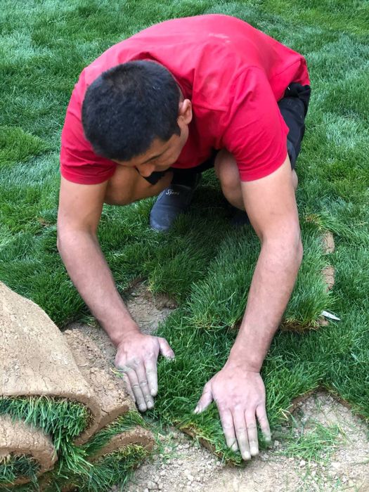 Gazon landshftniy dizayin