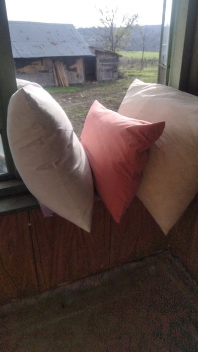 Am perie de vânzare de PN 50 RON