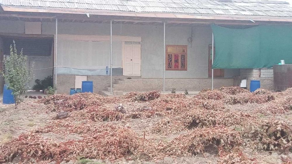 Продаю Участок 8 Соток с домом ремонт .Городе Паркент,махалля Кушшукур