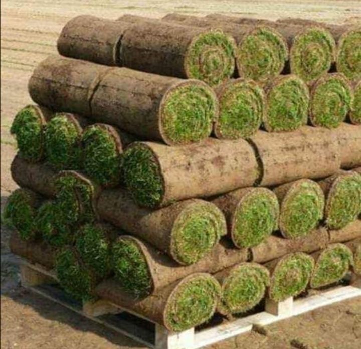 Vînd piatră naturală