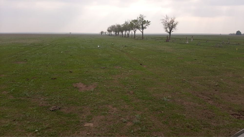 Земельный участок коммерческий