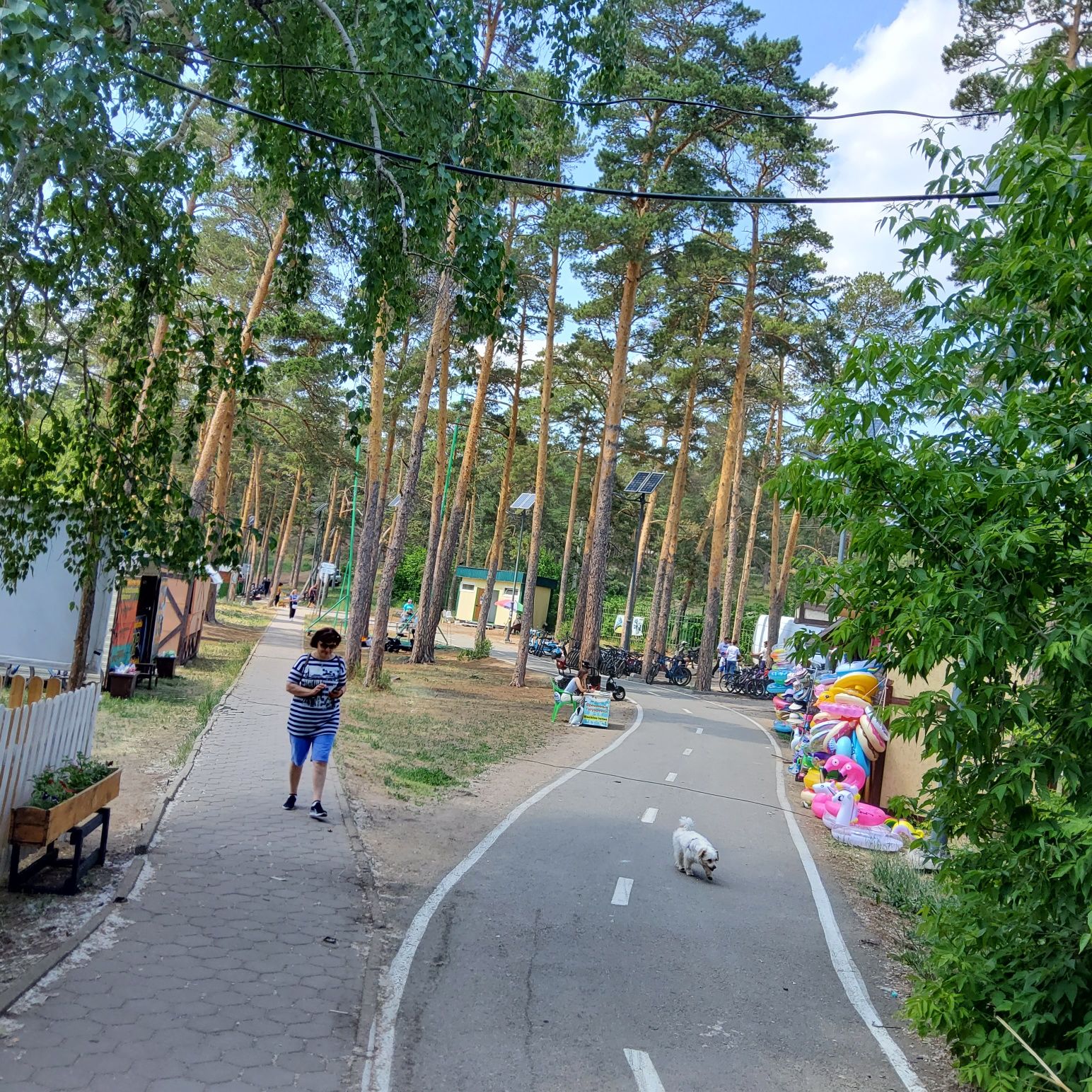 Сдам домики на берегу озера Бурабай