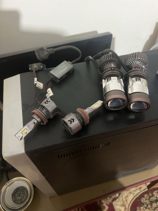 Y7 Zimmer h11 cobalt tumankada turgan