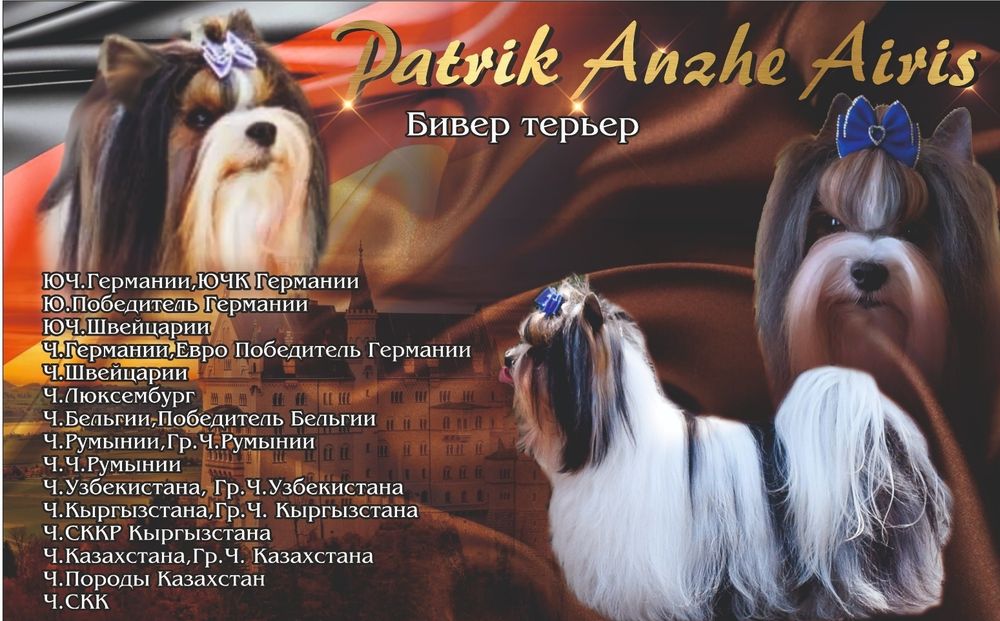 Кобель для вязки