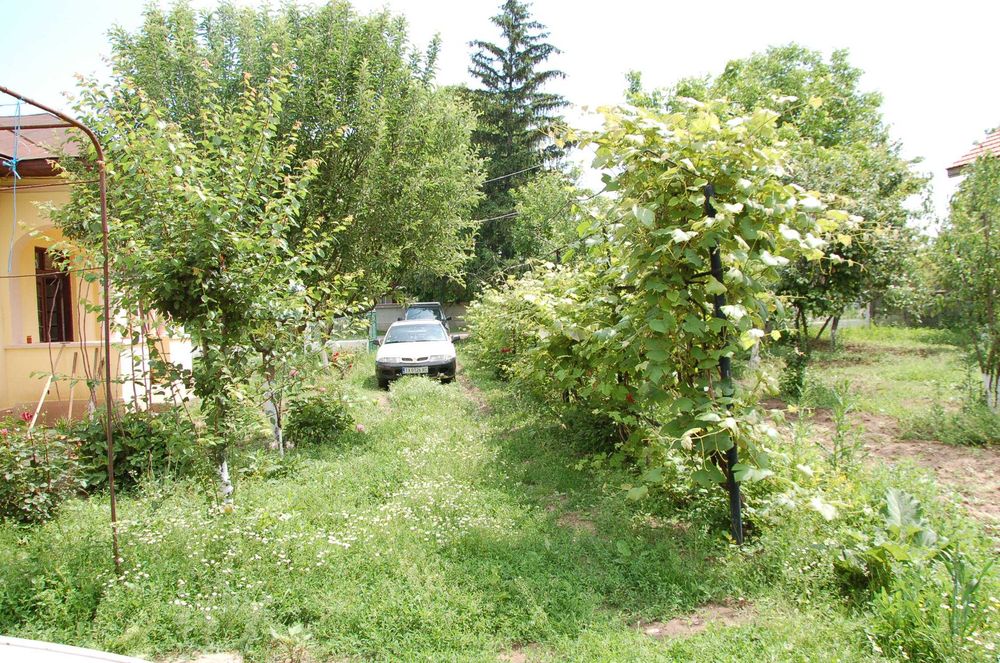 un loc in natura, linistit.