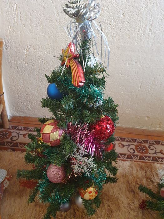 Коледна елха по 30 лв