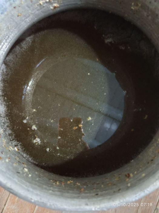 1kg Asal 80 000 dan 100 000 gacha sotiladi