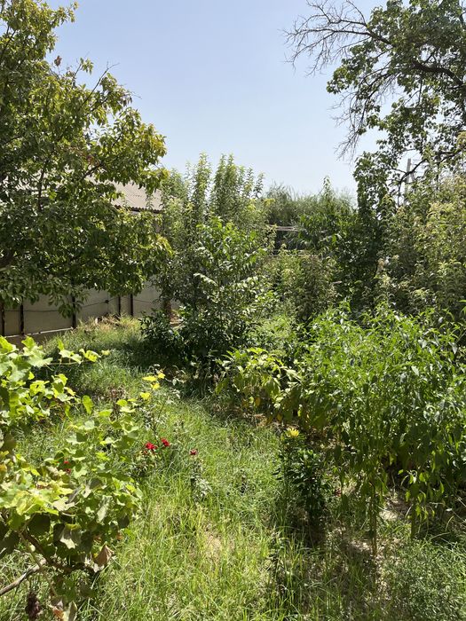 Продается дом торг есть