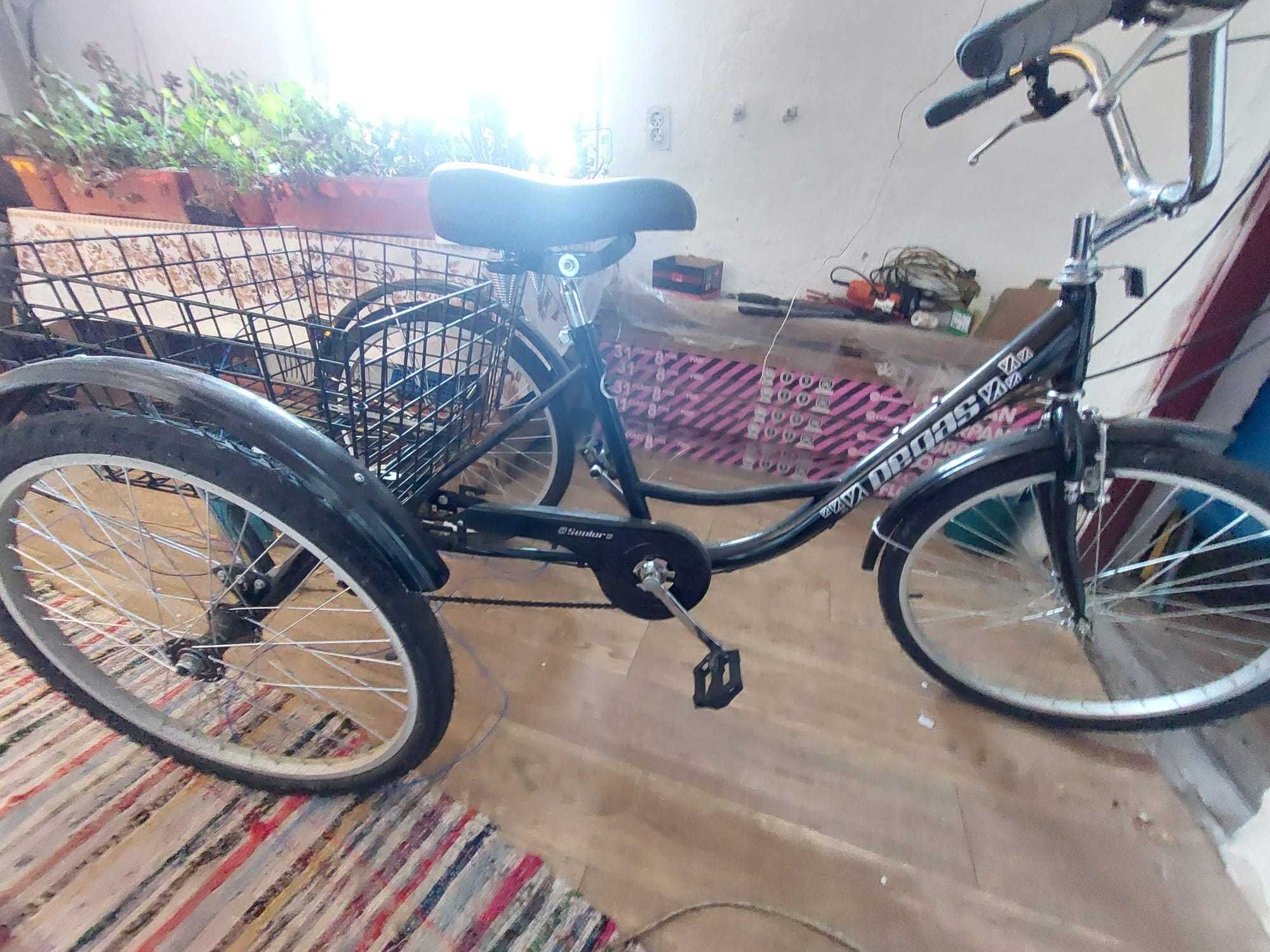 Bicicletă Pegas Senior Triciclu 24”, Negru Stelar