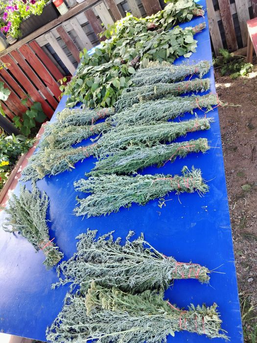 Веник в баню лечебные