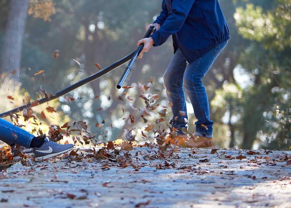 Aspirator umed și uscat Nilfisk Buddy II 18L