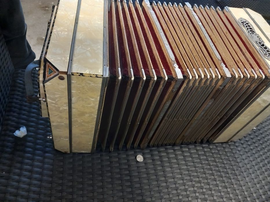 Bandoneon vechi adus din Germania