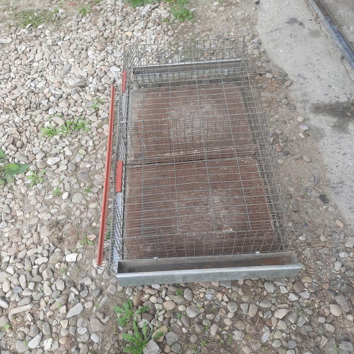 Cușcă 50 prepelite