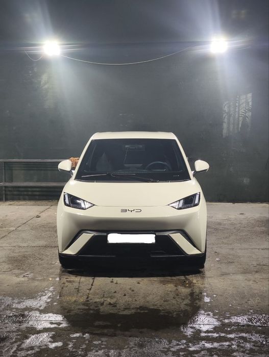 BYD Seagull 2025 model