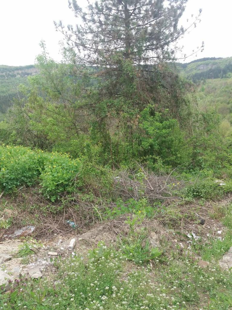 Продава се Парцел в Велико Търново, Света гора - 3000 кв.м за 6 €/кв.м - Снимка #1