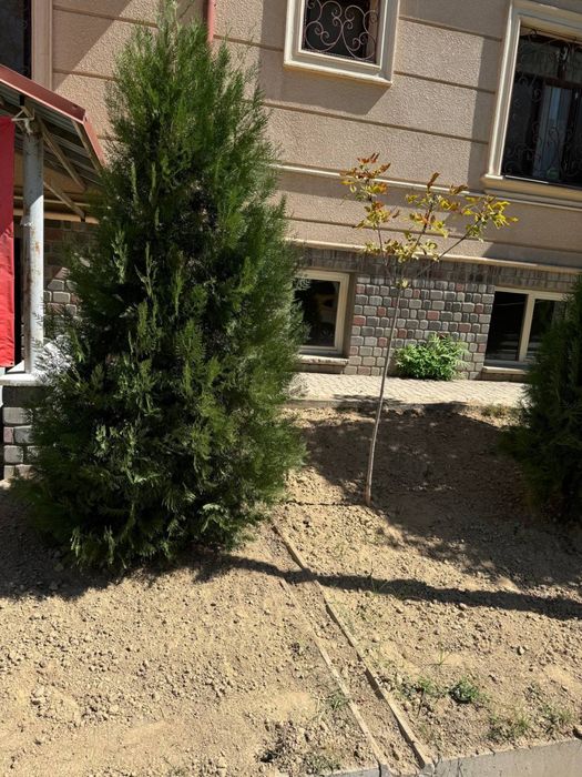 Продажа коммерческого помещения. Мирабвдский район. Ориентир Эльбек, В