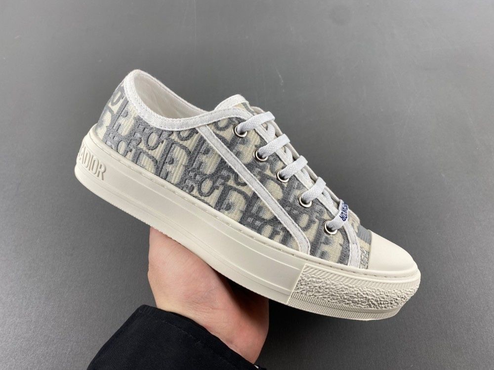 Dior Walk’N’Dior Oblique Canvas