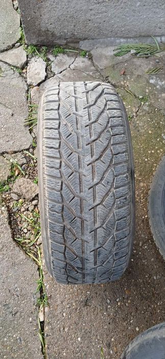 Зимни гуми Riken 225/50/17