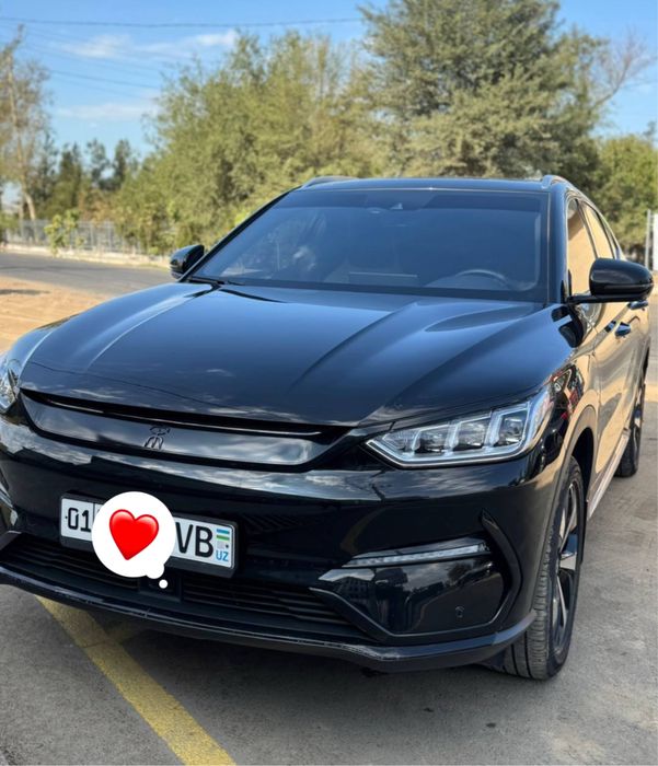 Byd Song Pulys flekship