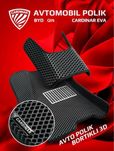 Byd qin uchun evakor polik