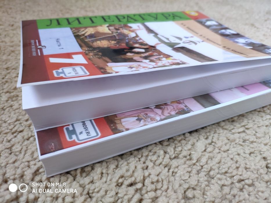 Учебники по литературе за 7 класс в 2- частях. В.Я.Коровин