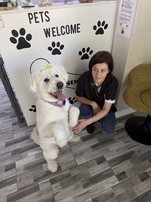 Salon canin Galati / Frizerie canina /Frizer animale de companie