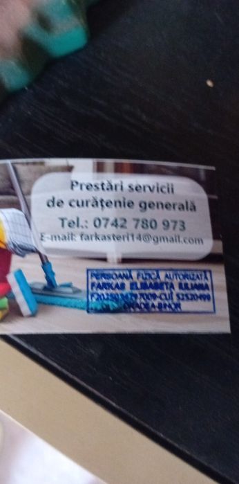 Curatenie la domiciliu