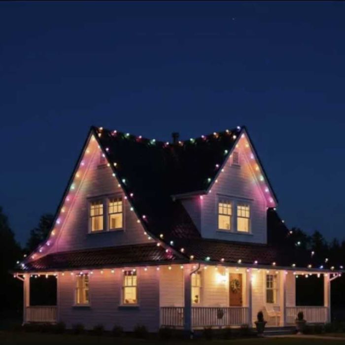 Luminite Craciun exterior-interior 50m / 100m