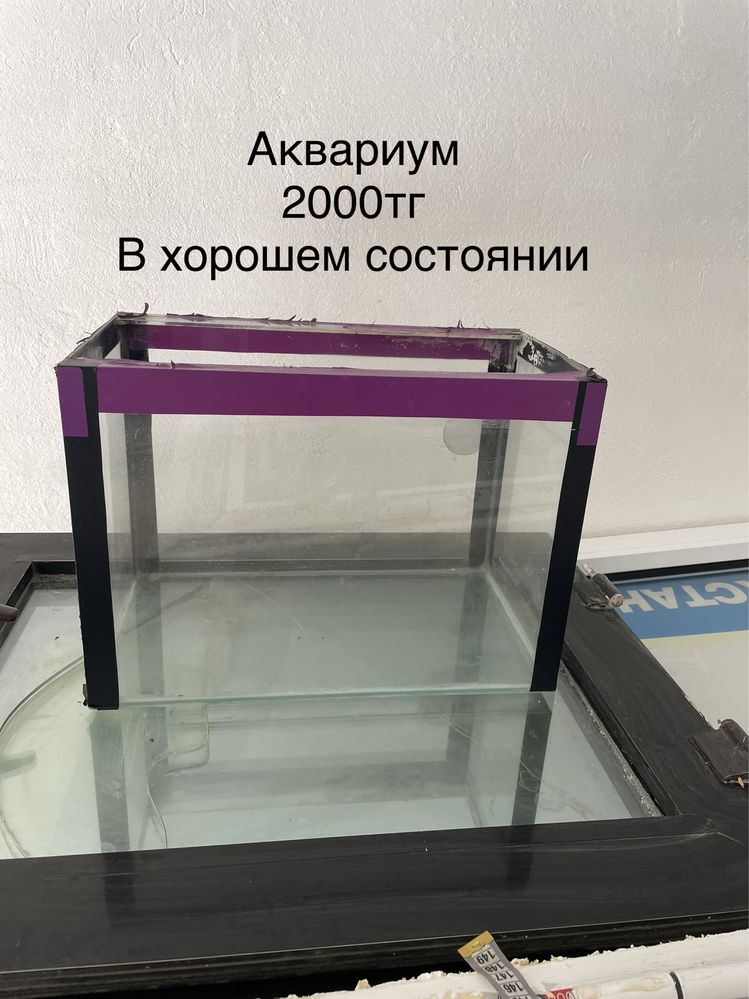 ВНИМАТЕЛЬНО посмотрите разные вещи