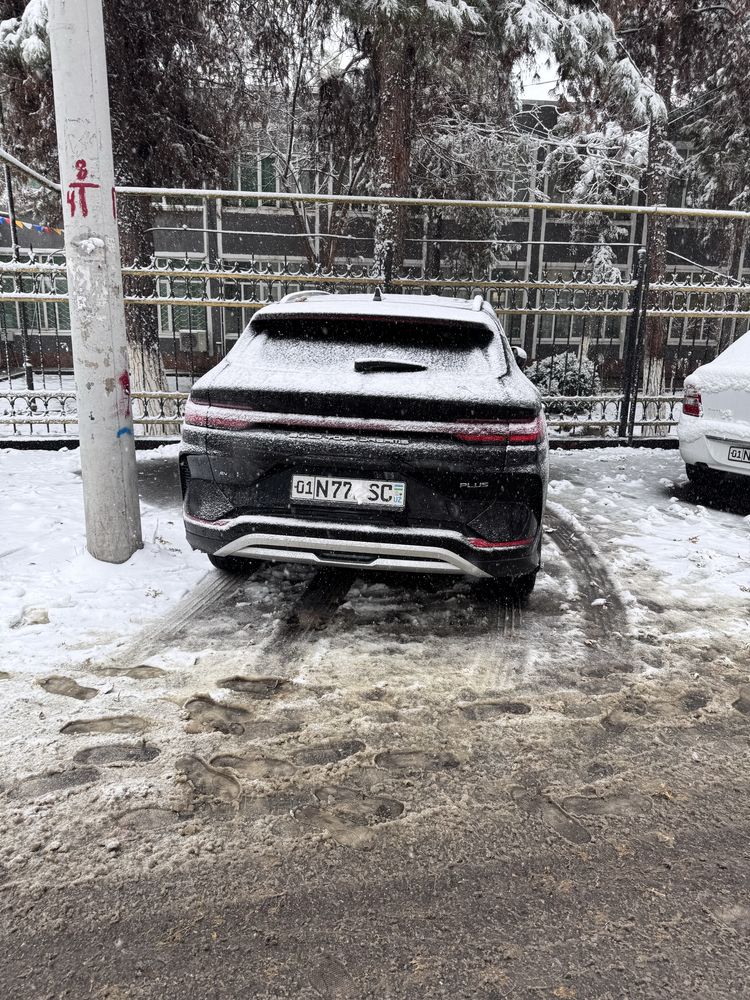 Byd champion full605 toza