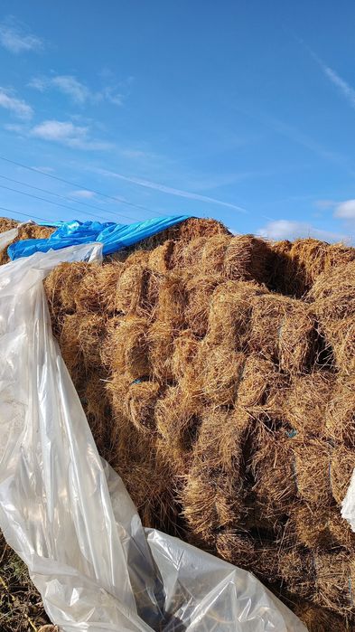 Vând baloți lucernă