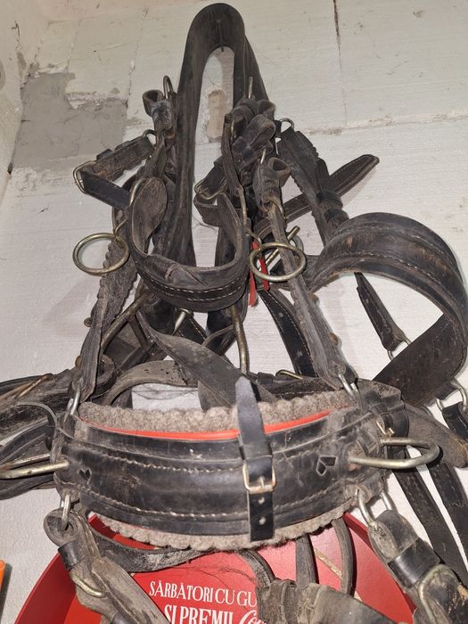 Căruță de cai si doua hamuri