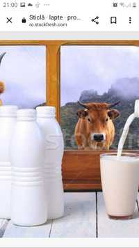 Vand   lapte  de  vaca
