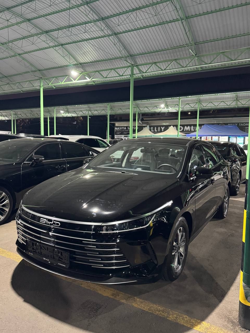 Byd Chazor bezprobeg