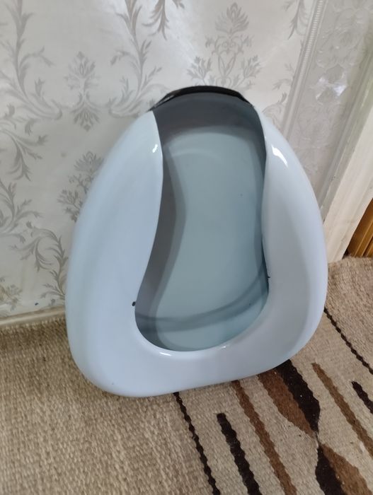 Утка медицинская