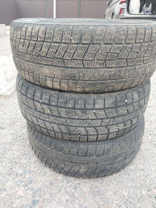 зимние шины Triangle 215/60 R16