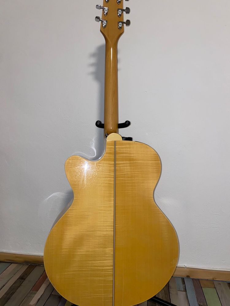 Chitara Takamine G-Series
