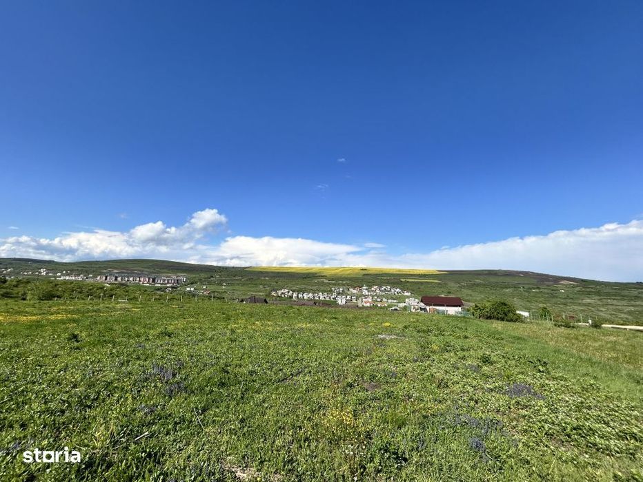 Teren Valea Chintaului / Cluj 5.547mp  parcelabil