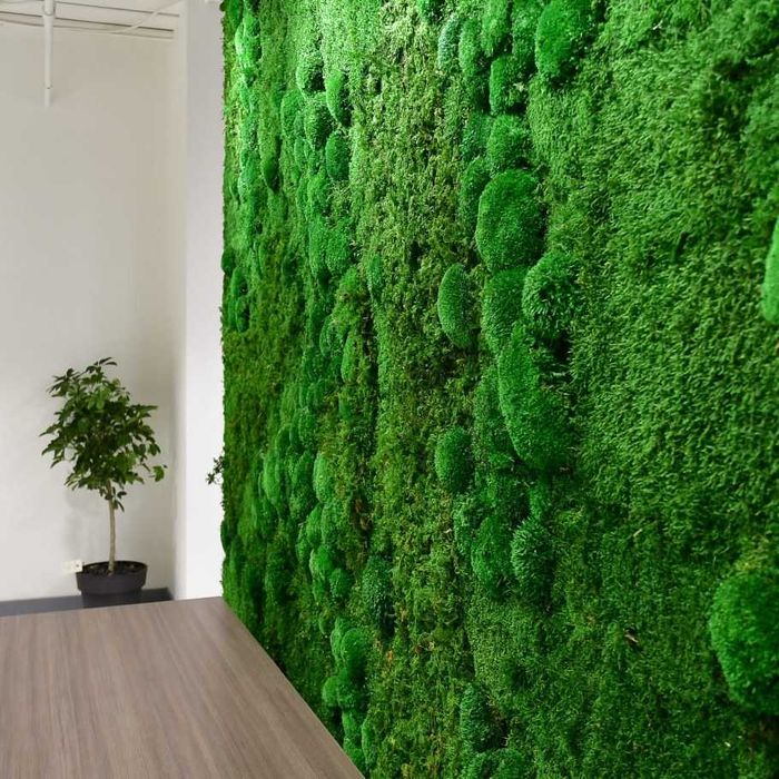 Озеленение Искусственное Вертикальное Мох Фито рамки Растения