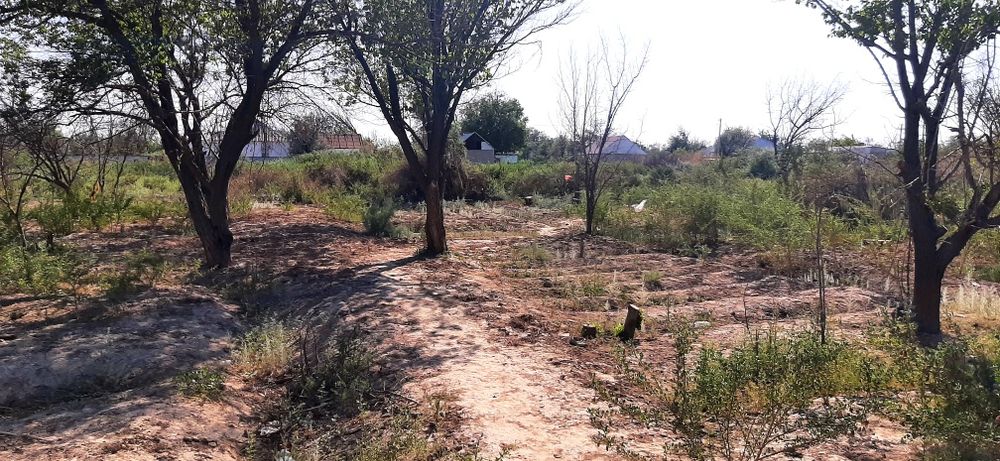 Срочно! Дача без домика